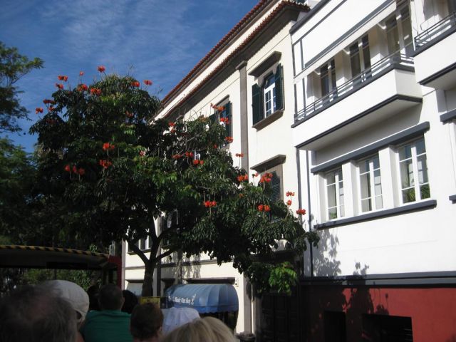 i/Family/Brazilija/img_1281.jpg_640.jpg