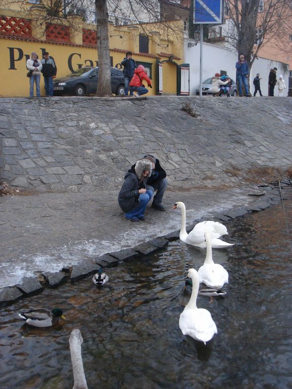 i/Kranj/NovoLeto09/prague_307.jpg