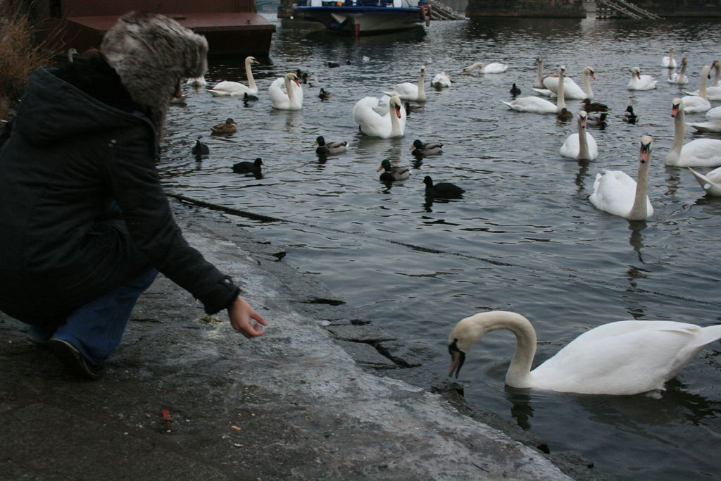 i/Kranj/NovoLeto09/prague_310.jpg