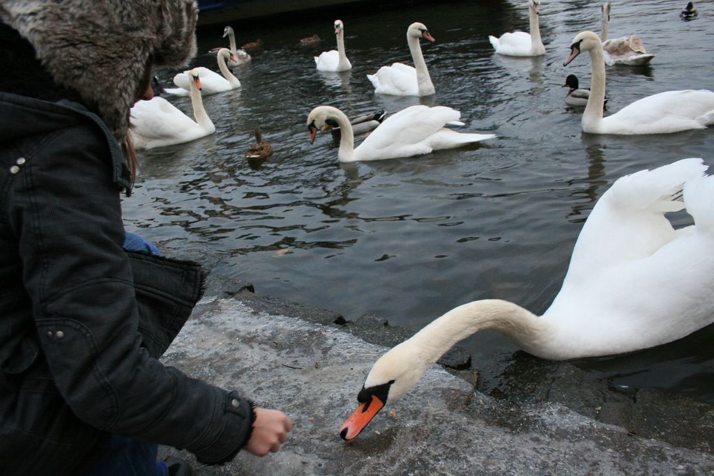 i/Kranj/NovoLeto09/prague_311.jpg