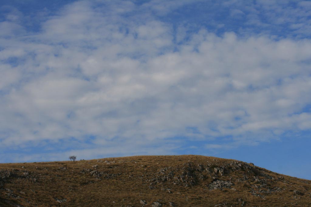 i/Kranj/Ohrid/IMG_0370.jpg